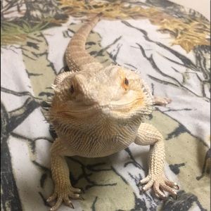 Meet your Posher, Matt